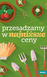 Dealz gazetka tydzień 21 Strona 45