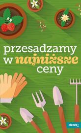 Dealz gazetka tydzień 21 Strona 45