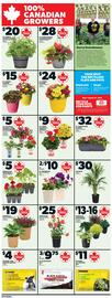 Independent Grocer flyer week 21 Page 11