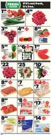Independent Grocer flyer week 21 Page 5