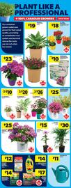 Real Canadian Superstore flyer week 21 Page 46