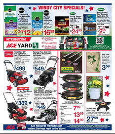 Ace Hardware Weekly Ad week 21 Page 2