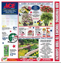 Ace Hardware Weekly Ad week 21 Page 3