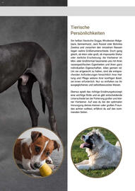 Zookauf Prospekt Seite 23