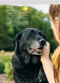 Zookauf Prospekt Seite 11