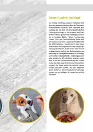 Zookauf Prospekt Seite 13