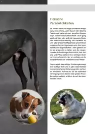 Zookauf Prospekt Seite 23