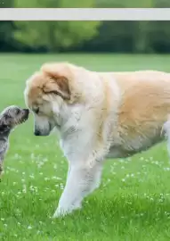 Zookauf Prospekt Seite 25