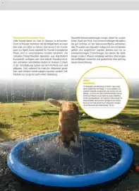 Zookauf Prospekt Seite 35