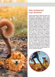 Zookauf Prospekt Seite 39