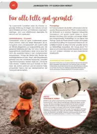 Zookauf Prospekt Seite 40