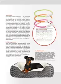 Zookauf Prospekt Seite 41