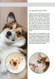 Zookauf Prospekt Seite 43