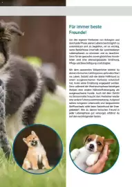 Zookauf Prospekt Seite 5