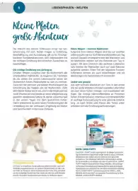 Zookauf Prospekt Seite 6