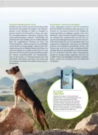 Zookauf Prospekt Seite 61