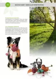 Zookauf Prospekt Seite 62