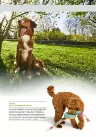 Zookauf Prospekt Seite 63