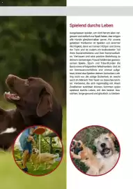 Zookauf Prospekt Seite 65