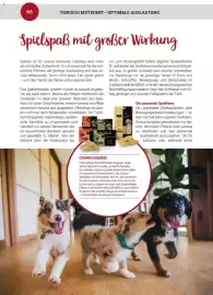 Zookauf Prospekt Seite 66