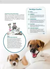 Zookauf Prospekt Seite 7