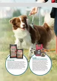 Zookauf Prospekt Seite 9