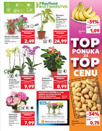 Kaufland SK akciós újság hét 21 Oldal 9