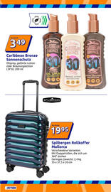 Action Prospekt woche 21 Seite 21