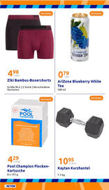 Action Prospekt woche 21 Seite 29