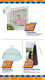 Action Prospekt woche 21 Seite 9