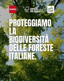 Volantino Scavolini Pagina 1