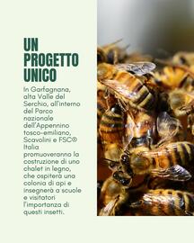 Volantino Scavolini Pagina 2