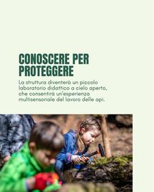 Volantino Scavolini Pagina 3