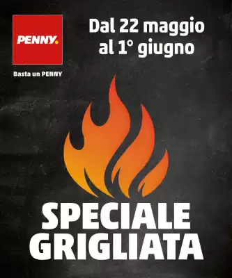 Volantino PENNY (valido fino al 1-06)