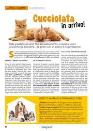 Volantino Acqua & Sapone Pagina 64