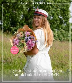 Bilka tilbudsavis uge 21 Side 15