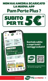 Volantino Pam settimana 21 Pagina 19