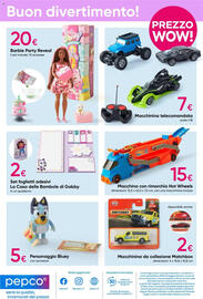 Volantino Pepco Pagina 13