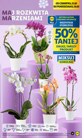 Lidl gazetka Strona 15