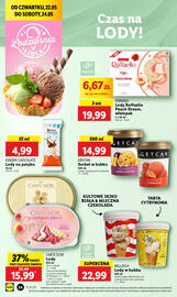Lidl gazetka Strona 42