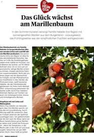 Billa Flugblatt Seite 100