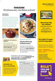Billa Flugblatt Seite 11