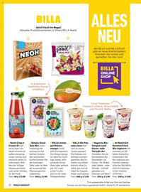 Billa Flugblatt Seite 12