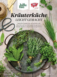 Billa Flugblatt Seite 121