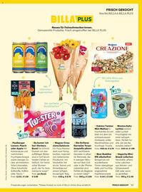 Billa Flugblatt Seite 13