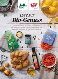 Billa Flugblatt Seite 132