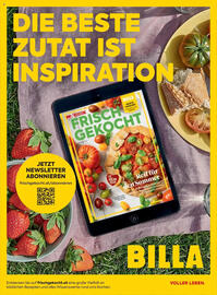 Billa Flugblatt Seite 179