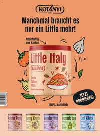 Billa Flugblatt Seite 180