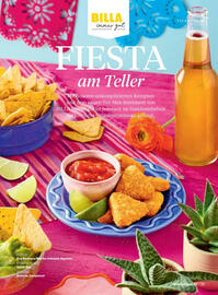 Billa Flugblatt Seite 25