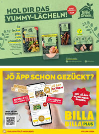 Billa Flugblatt Seite 36